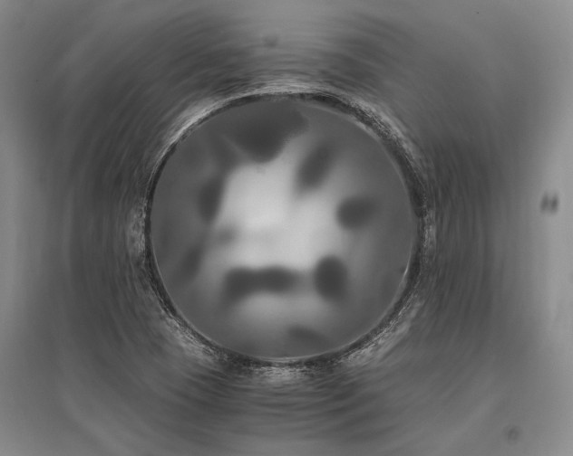 X0000095521409200712141435