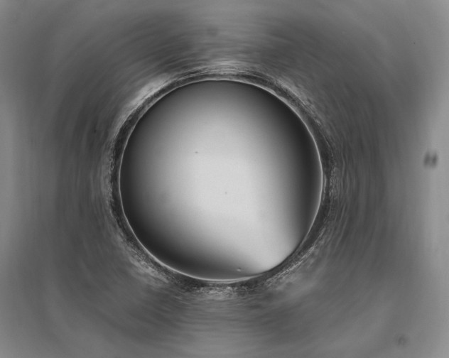X0000095521410200712141435