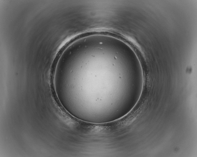 X0000095521412200712141435