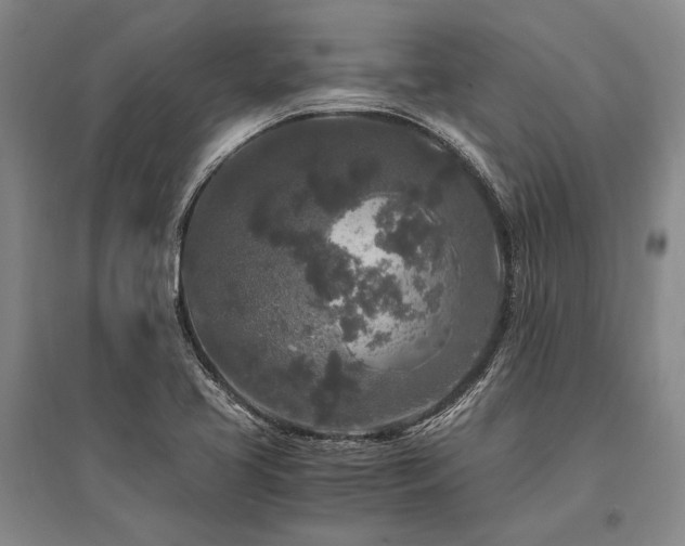 X0000095521413200712141435