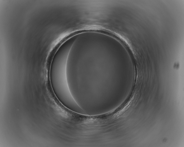 X0000095521414200712141435