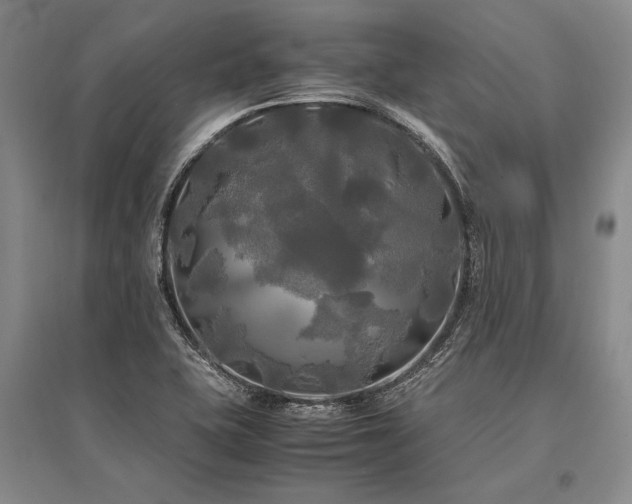 X0000095521415200712141435
