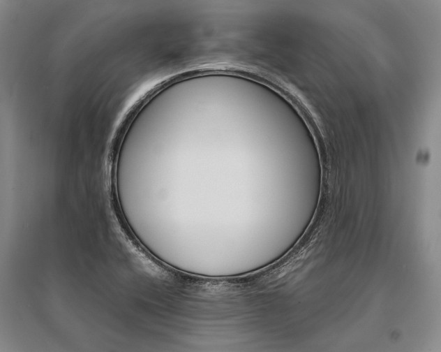 X0000095521416200712141435