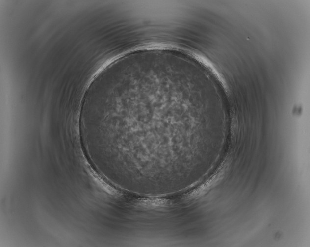 X0000095521417200712141436