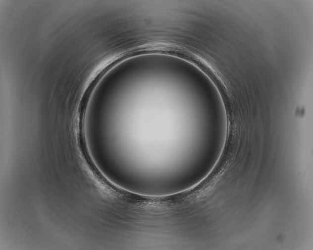 X0000095521418200712141436