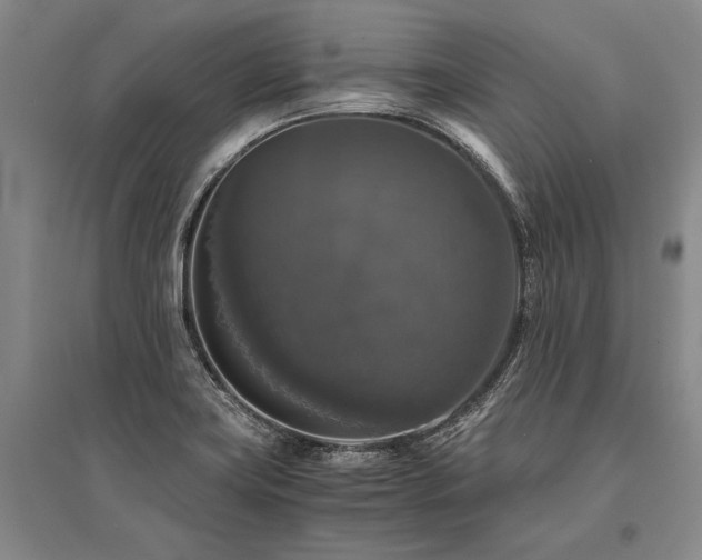 X0000095521419200712141436