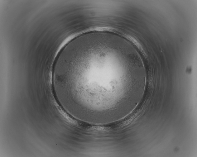 X0000095521420200712141436