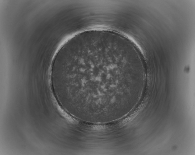 X0000095521421200712141436