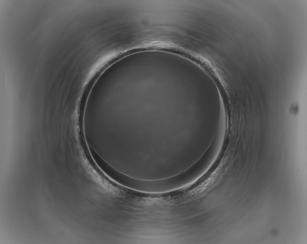 X0000095521422200712141436