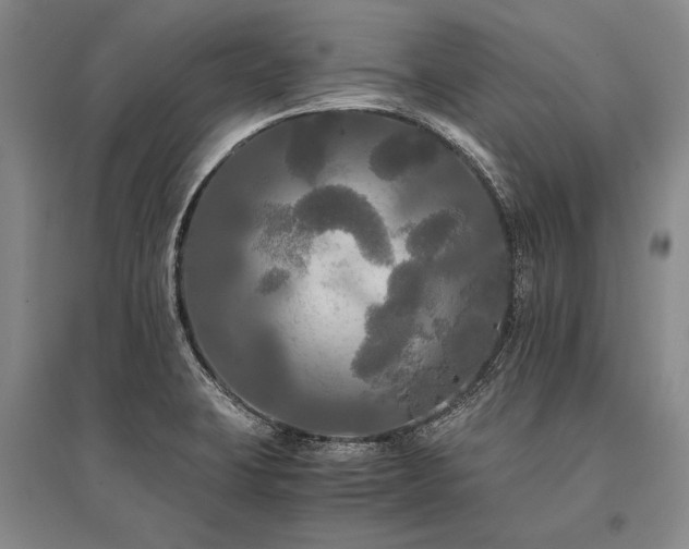 X0000095521423200712141436