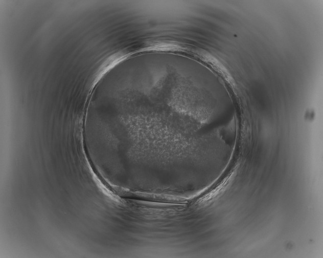 X0000095521425200712141436