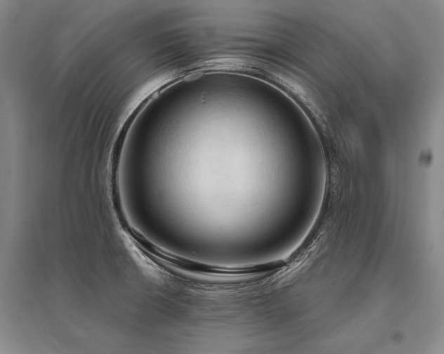 X0000095521426200712141436