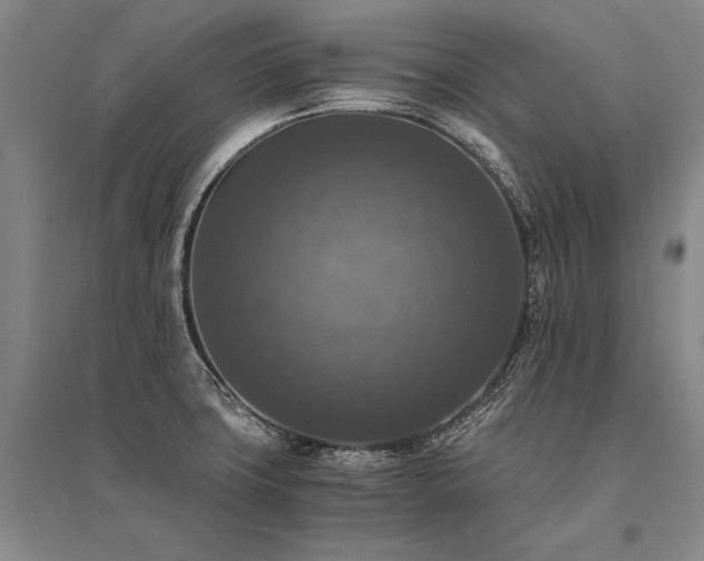 X0000095521427200712141436