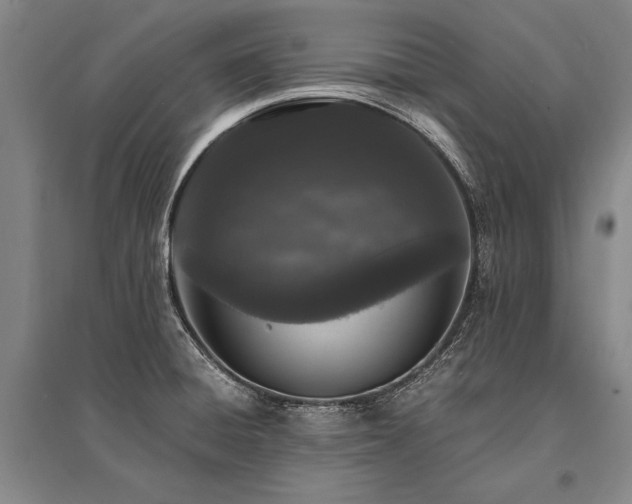 X0000095521428200712141436