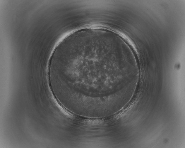X0000095521429200712141436