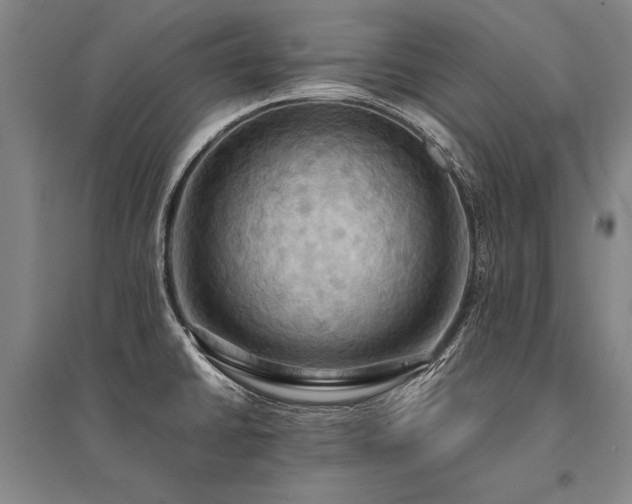 X0000095521430200712141436