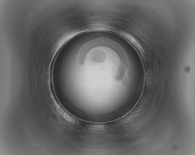 X0000095521431200712141436