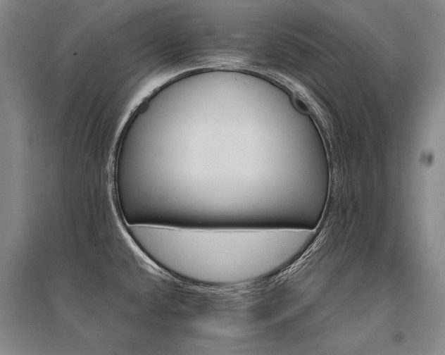 X0000095521432200712141436