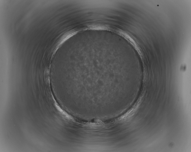 X0000095521433200712141436