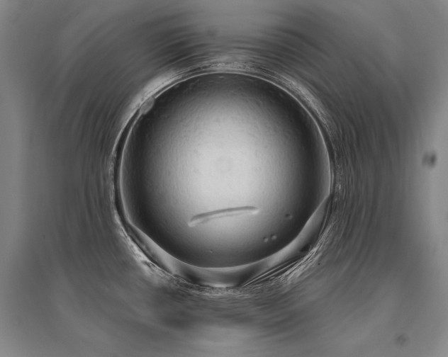 X0000095521434200712141436