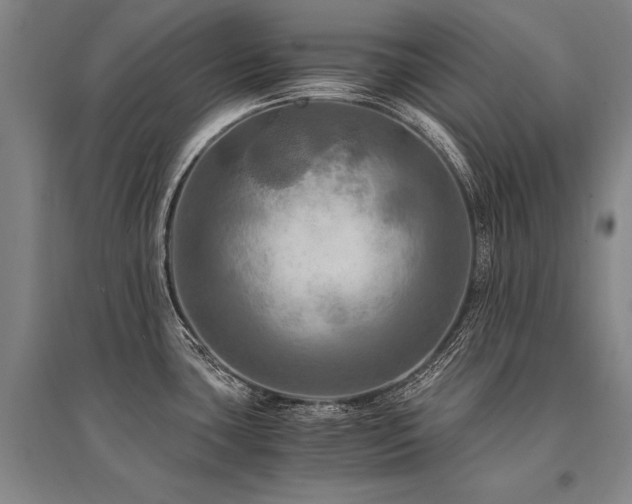 X0000095521435200712141436