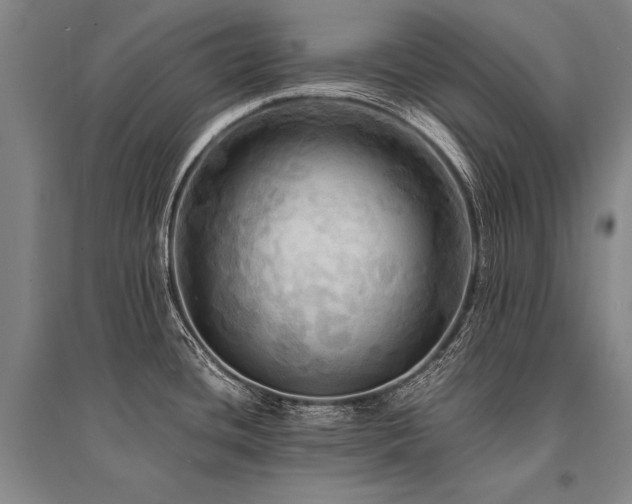 X0000095521436200712141436