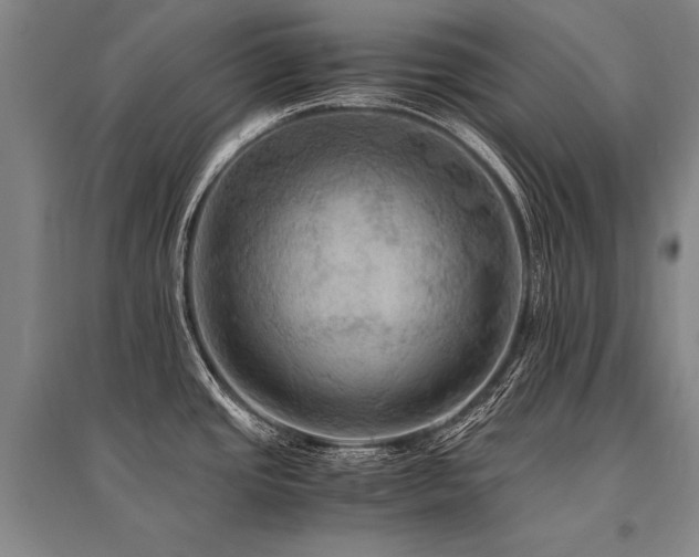 X0000095521437200712141436