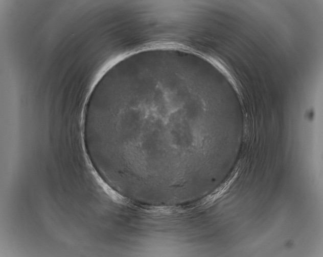 X0000095521438200712141436