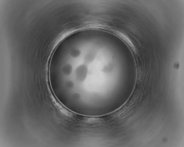 X0000095521439200712141436