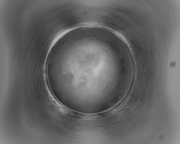 X0000095521440200712141436