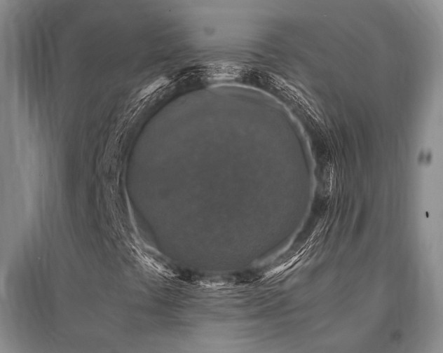 X0000095521441200712141435