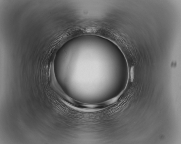 X0000095521443200712141435