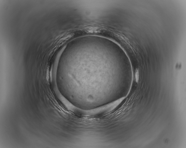 X0000095521444200712141435