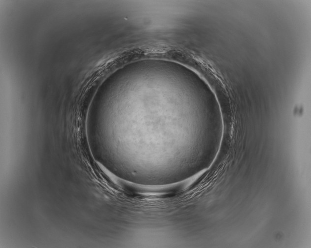 X0000095521445200712141435