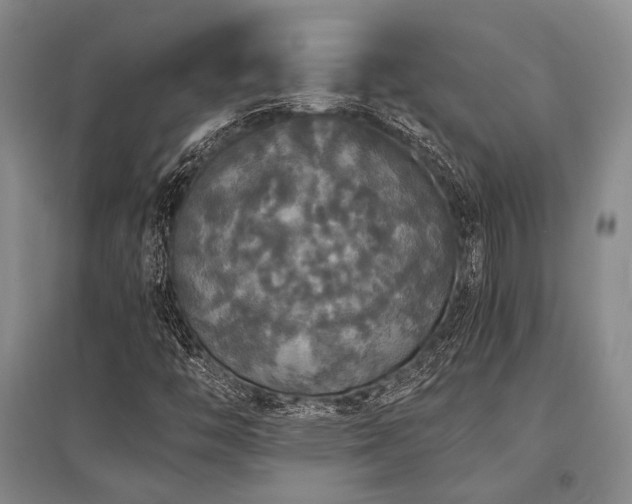 X0000095521446200712141435