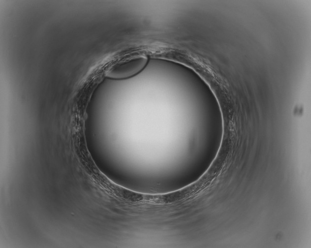 X0000095521447200712141435