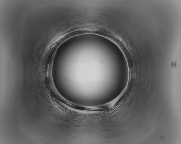 X0000095521448200712141435