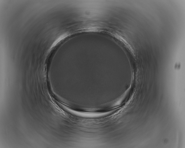 X0000095521450200712141435