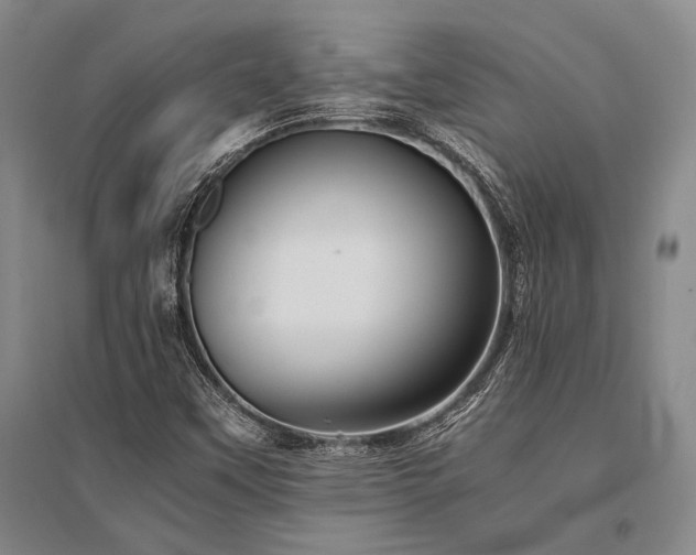 X0000095521451200712141435