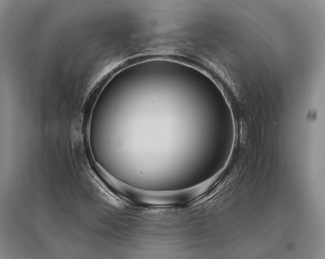 X0000095521452200712141435