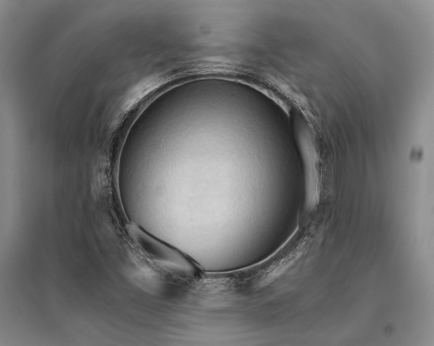 X0000095521453200712141435