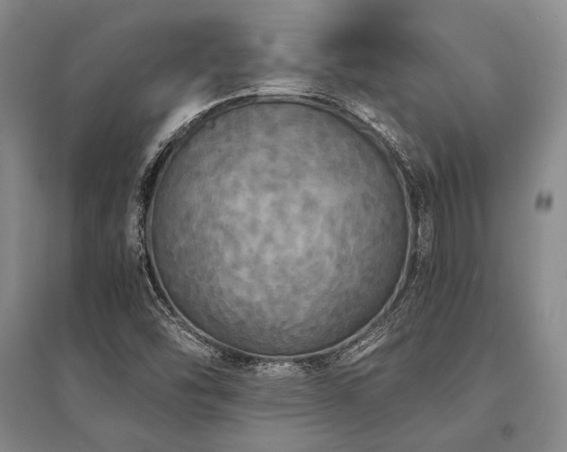 X0000095521454200712141435