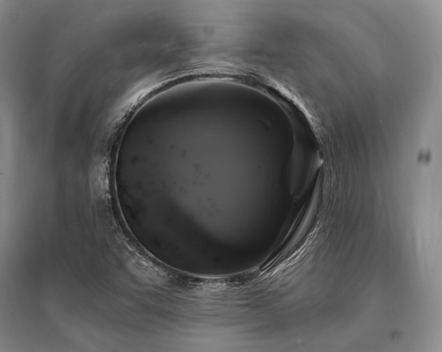 X0000095521455200712141435