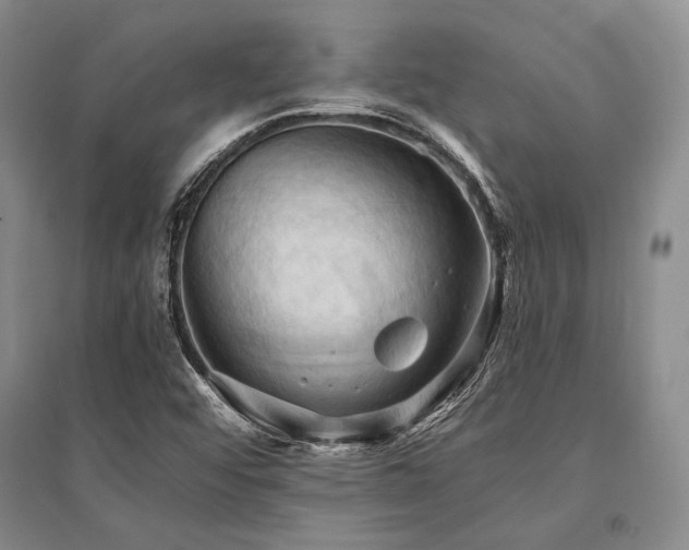 X0000095521456200712141435