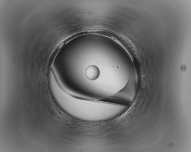X0000095521457200712141435