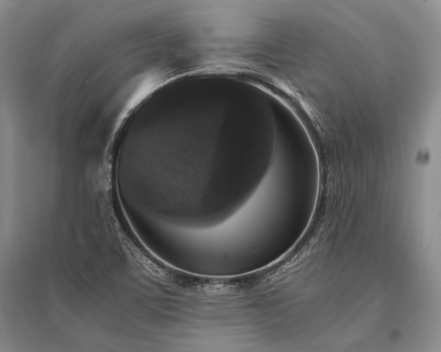 X0000095521459200712141435