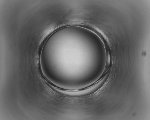 X0000095521461200712141435