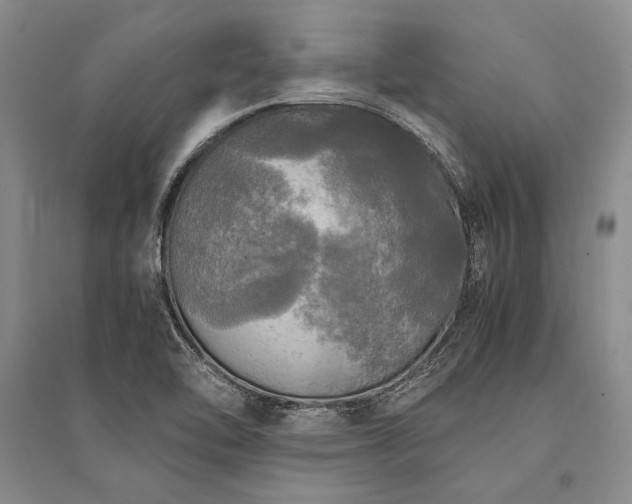 X0000095521462200712141435