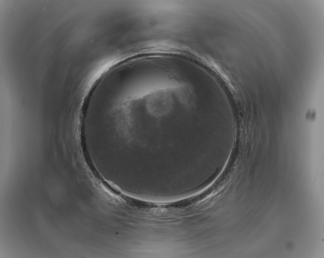X0000095521463200712141435
