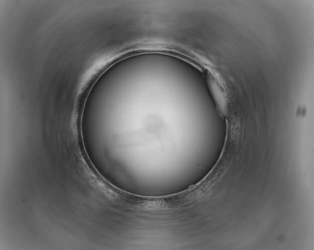 X0000095521464200712141435